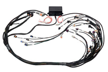 Load image into Gallery viewer, Haltech GM GEN IV LSX (LS2/LS3 Non DBW) Elite 2000/2500 Terminated Harness w/EV6 Inj Connectors