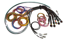 Load image into Gallery viewer, Haltech NEXUS R5 Universal Wire-In Harness - 2.5M (8ft)