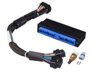 Load image into Gallery viewer, Haltech Nissan Skyline R32/33 GTS-T/GT-R/R34 GT-R Elite 2000/2500 Plug-n-Play Adaptor Harness