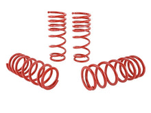 Load image into Gallery viewer, Skunk2 00-04 Honda S2000 Lowering Springs (2.00in. - 1.80in.) (Set of 4)