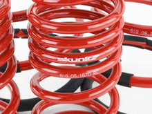 Load image into Gallery viewer, Skunk2 02-04 Acura RSX Lowering Springs (2.25in - 2.00in.) (Set of 4)