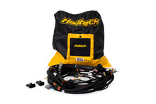 Load image into Gallery viewer, Haltech NEXUS Rebel LS Terminated Harness for ECU